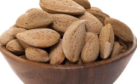 تصویر 5 از قیمت عمده بادام سنگی