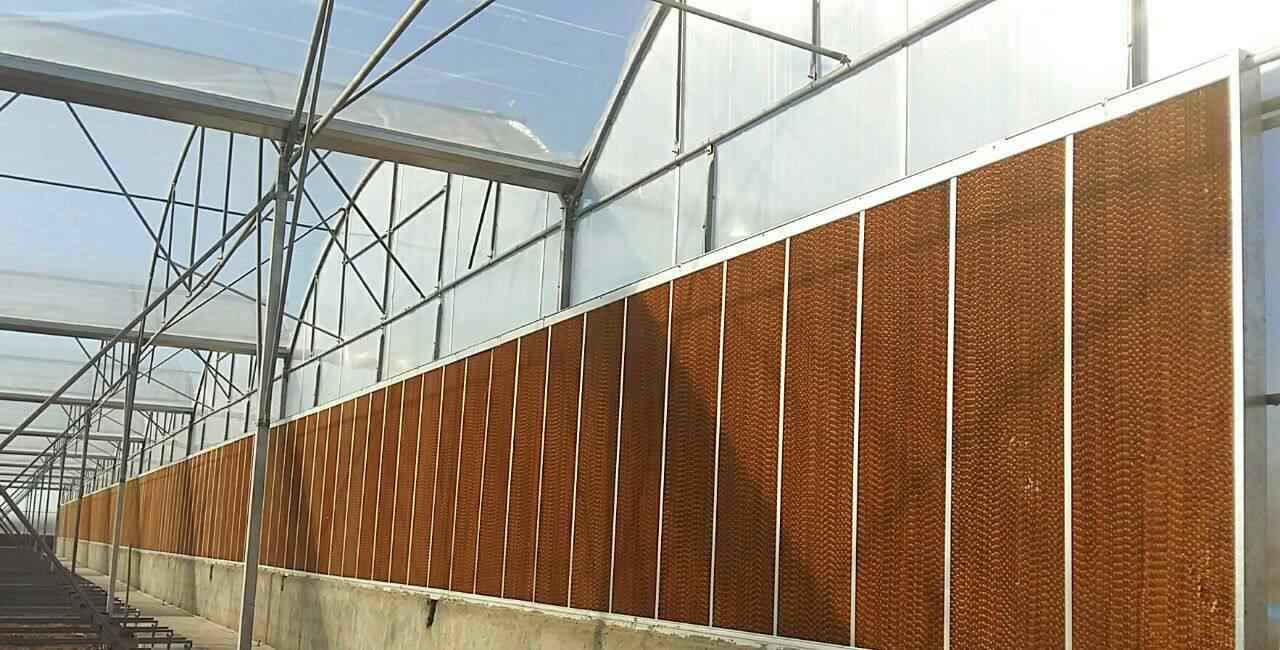 تصویر 2 از قیمت خرید پد سلولزی 90-70 ابعاد 60 × 120 ضخامت 10 با فروش عمده