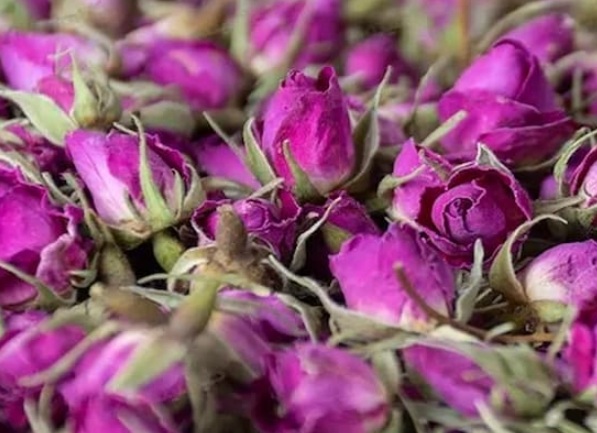 قیمت عمده غنچه گل محمدی خشک کاملا طبیعی و ارگانیک + سورت شده و بدون نرمینه