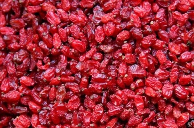 تصویر 3 از زرشک اناری اسدیه + قیمت عالی