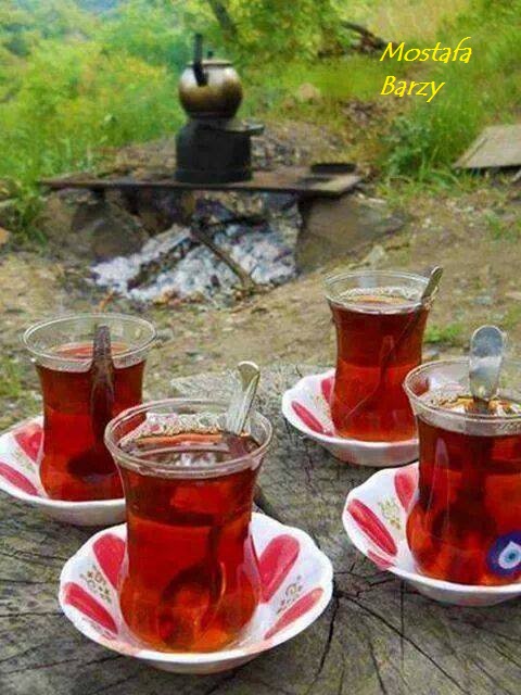 چای ممتاز + قیمت عمده