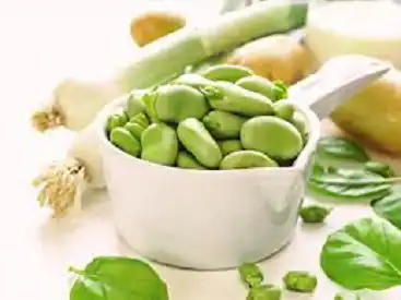 تصویر 3 از قیمت خرید ویژه کنسرو باقلا 400 گرمی خوشمزه درجه یک + شرایط استثنایی و به صرفه