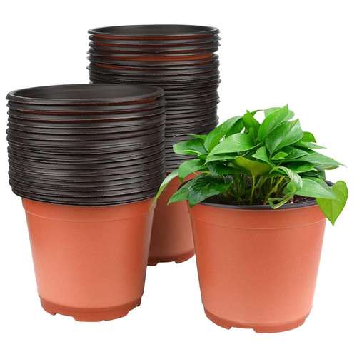 گلدان گلخانه ای