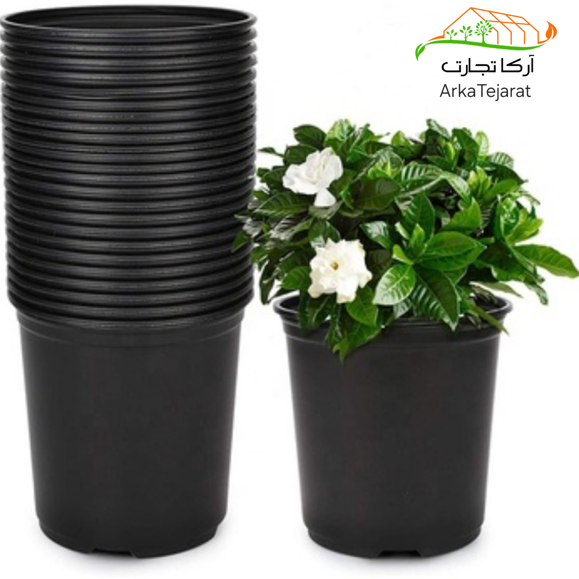 قیمت گلدان گلخانه ای