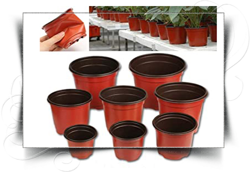 فروش گلدان گلخانه ای
