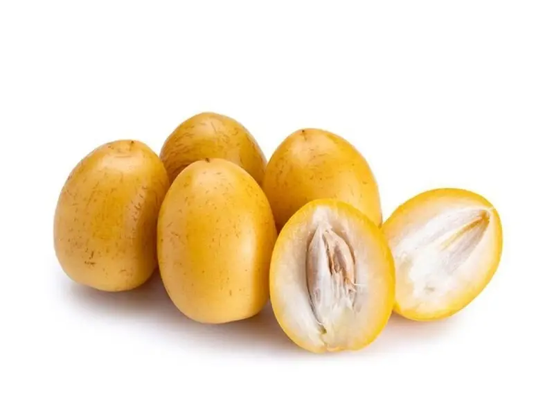 تصویر 1 از قیمت رطب برحی جنوب + خرید باور نکردنی
