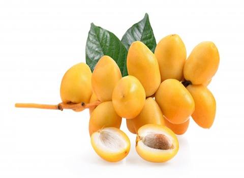 تصویر 2 از قیمت رطب برحی جنوب + خرید باور نکردنی