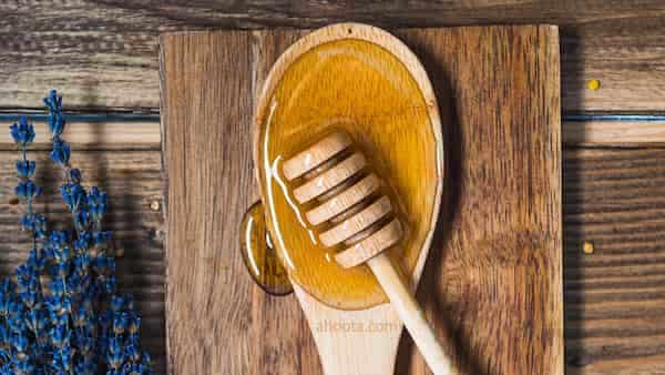 تصویر 5 از بهترین شرایط خرید عسل اردبیل + قیمت رقابتی