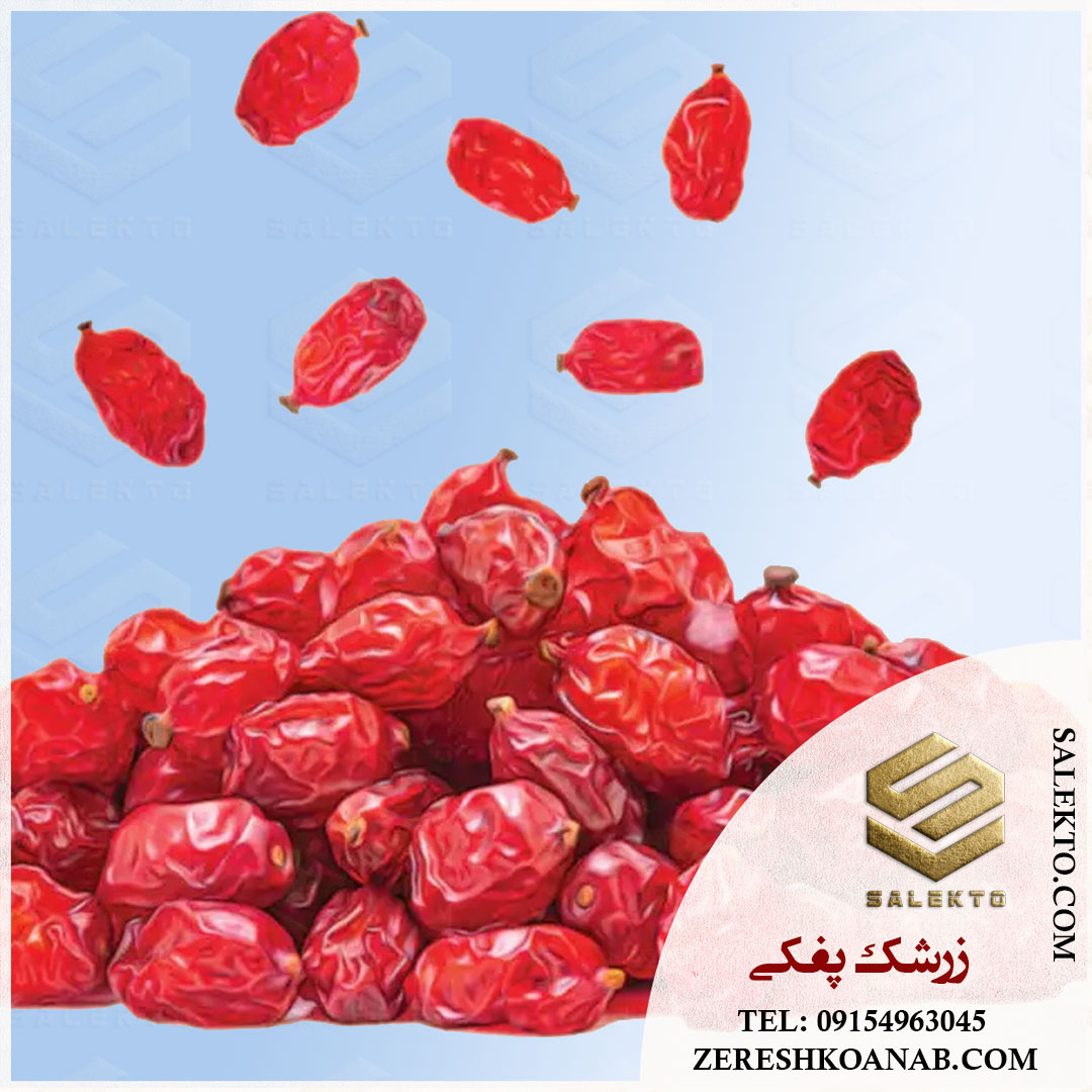 تصویر 4 از خرید زرشک پفکی خراسان جنوبی با طعمی دلپذیر و رنگ طبیعی + قیمت شگفت‌ انگیز و خرید عمده