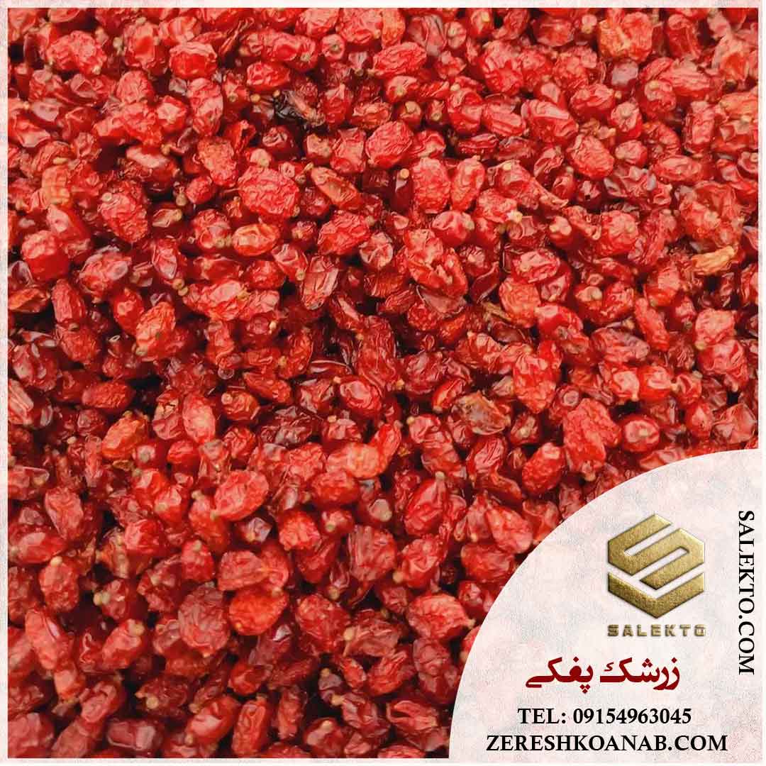 تصویر 1 از خرید زرشک عمده خراسان جنوبی با طعم ترش و تازه + خرید به‌ صرفه و قیمت عالی