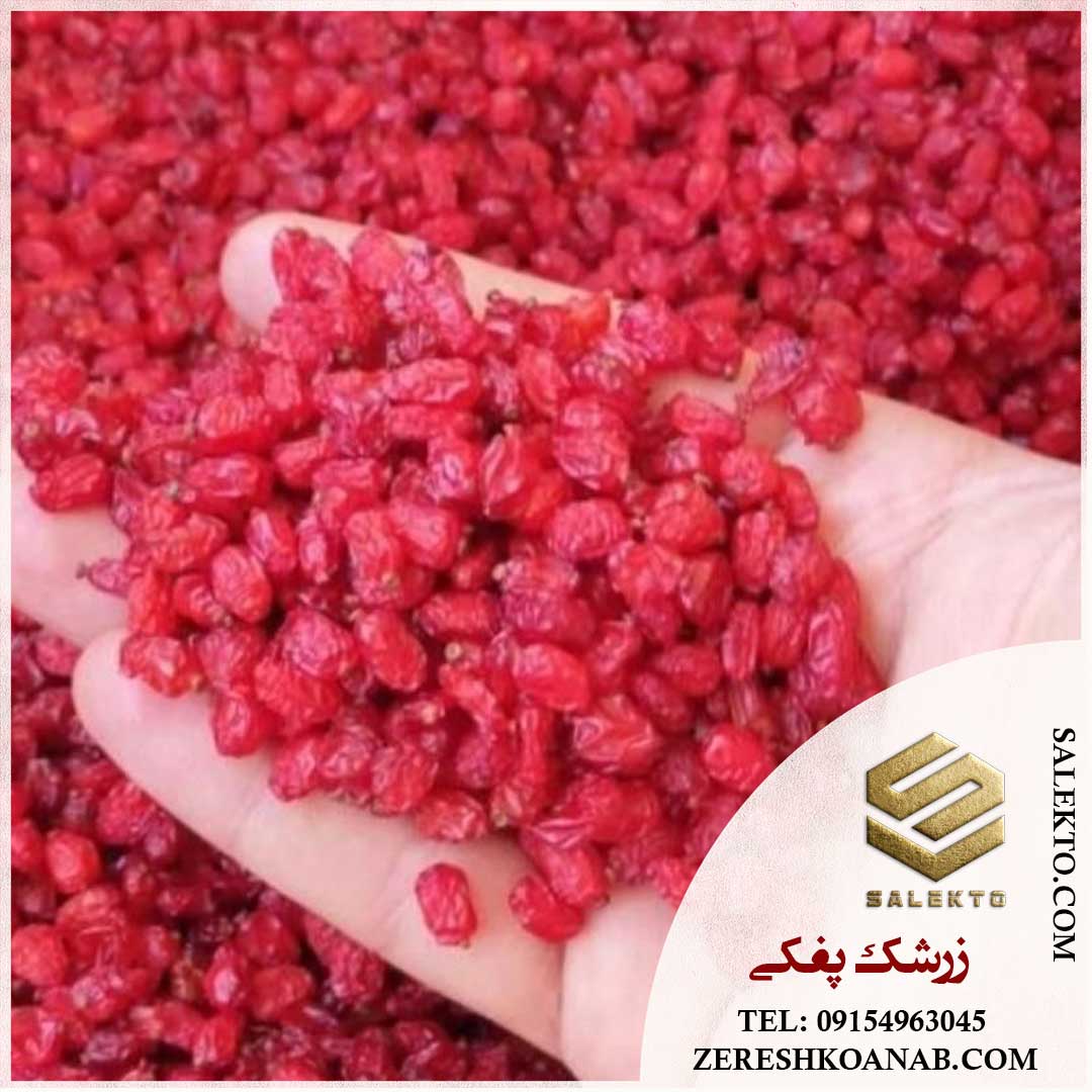 فروش زرشک عمده