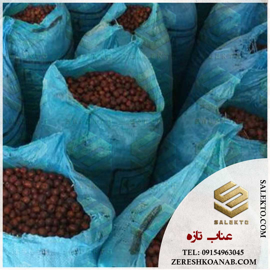 تصویر 2 از عناب خشک بیرجند با کیفیت ممتاز + خرید ارزان و قیمت ویژه برای خرید عمده