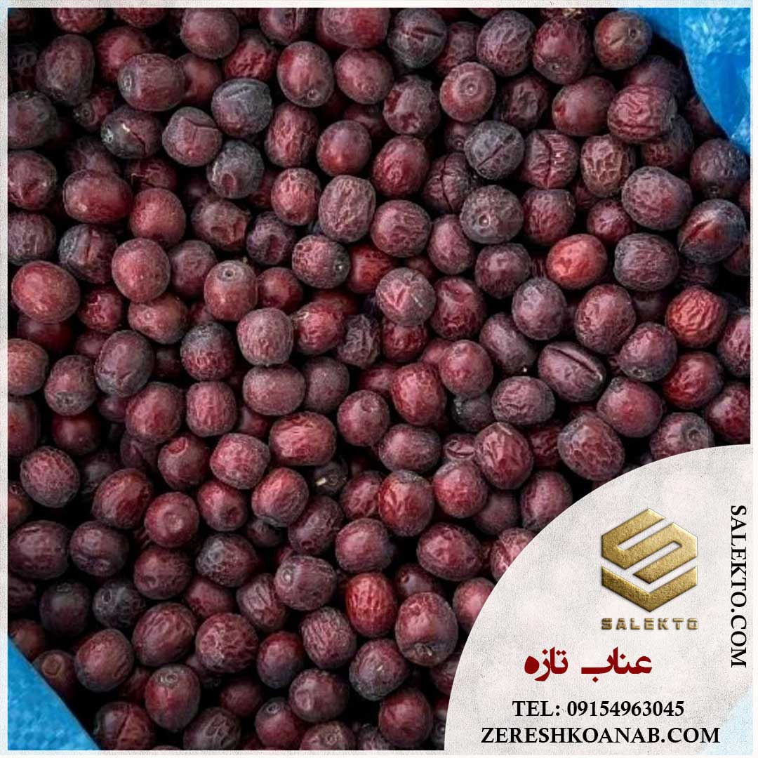 تصویر 3 از عناب خشک قاین با طعمی شیرین و ترد + خرید مستقیم از کشاورز با قیمت ویژه