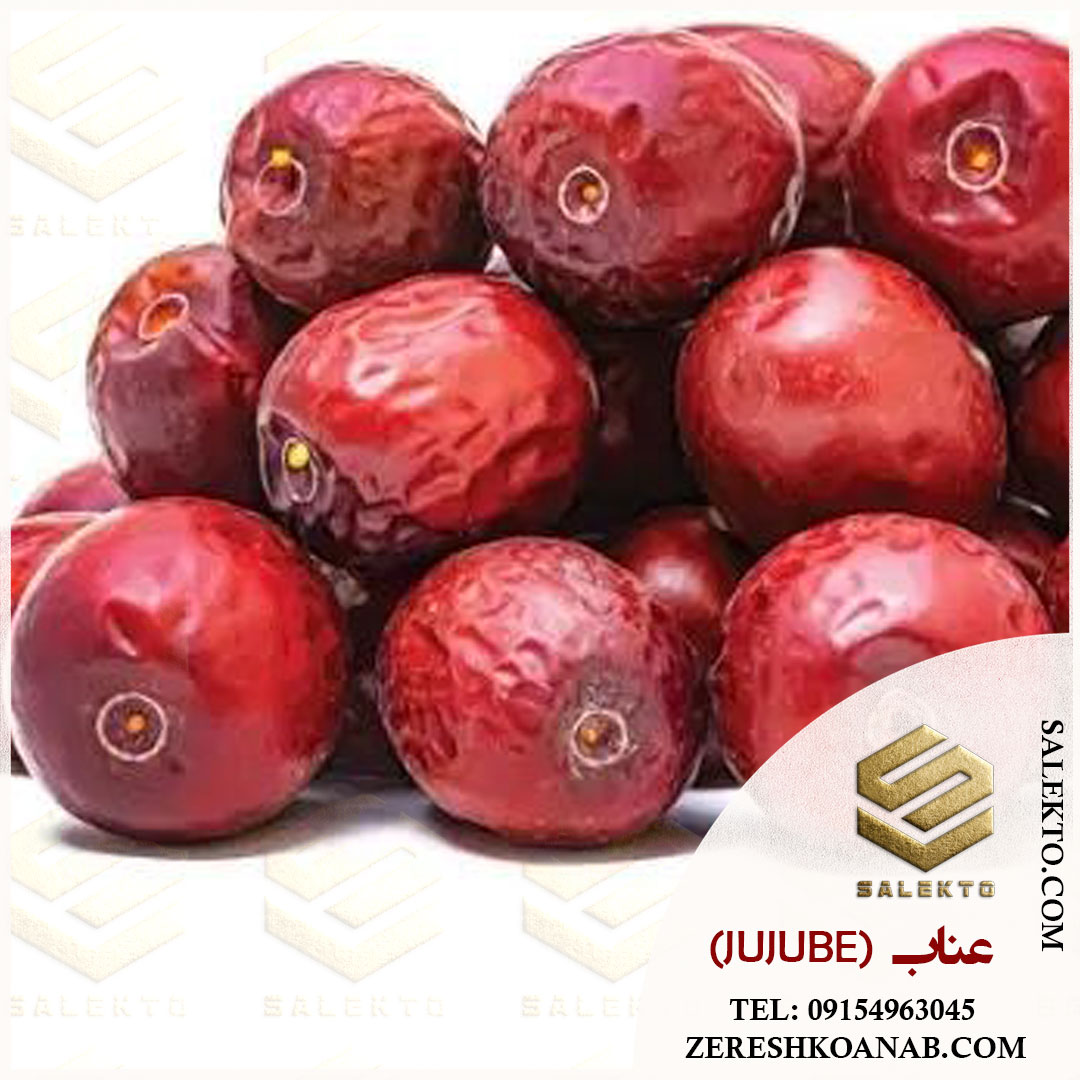تصویر 5 از عناب خشک قاین با طعمی شیرین و ترد + خرید مستقیم از کشاورز با قیمت ویژه