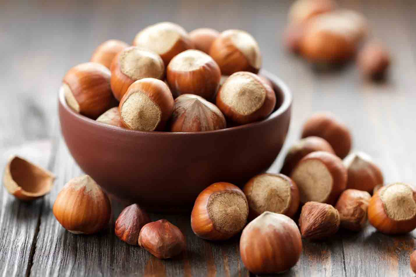 تصویر 2 از خرید فندق اشکورات + اقتصادی