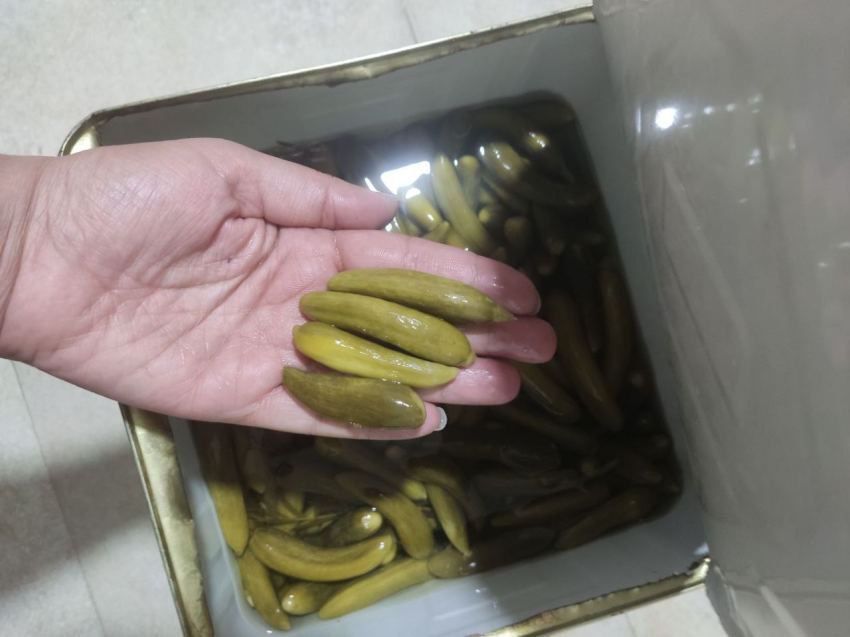 تصویر 1 از خیارشور فله حلب صادراتی بازار روسیه