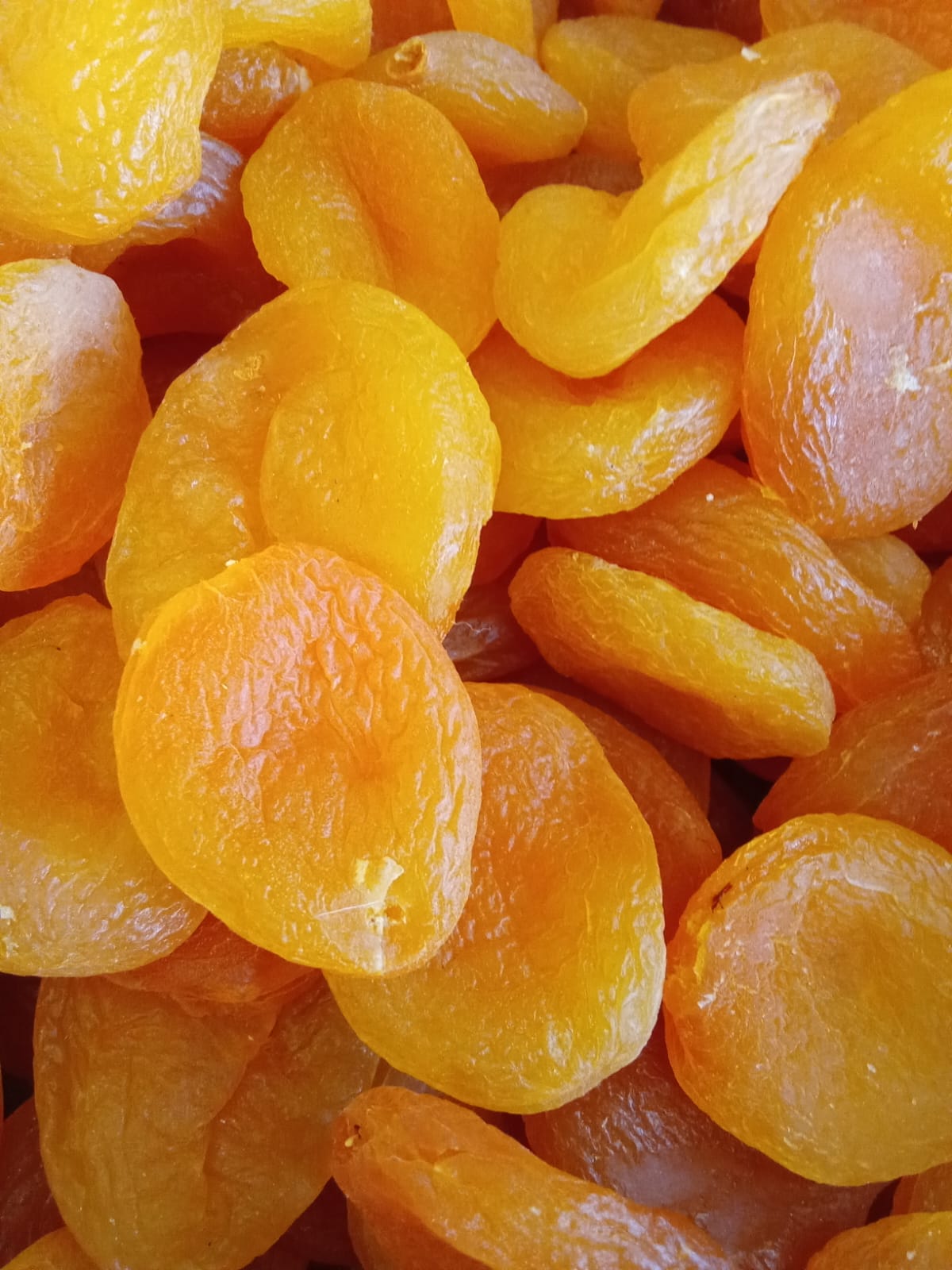 تصویر 1 از قیسی زرد آلو + قیمت مناسب