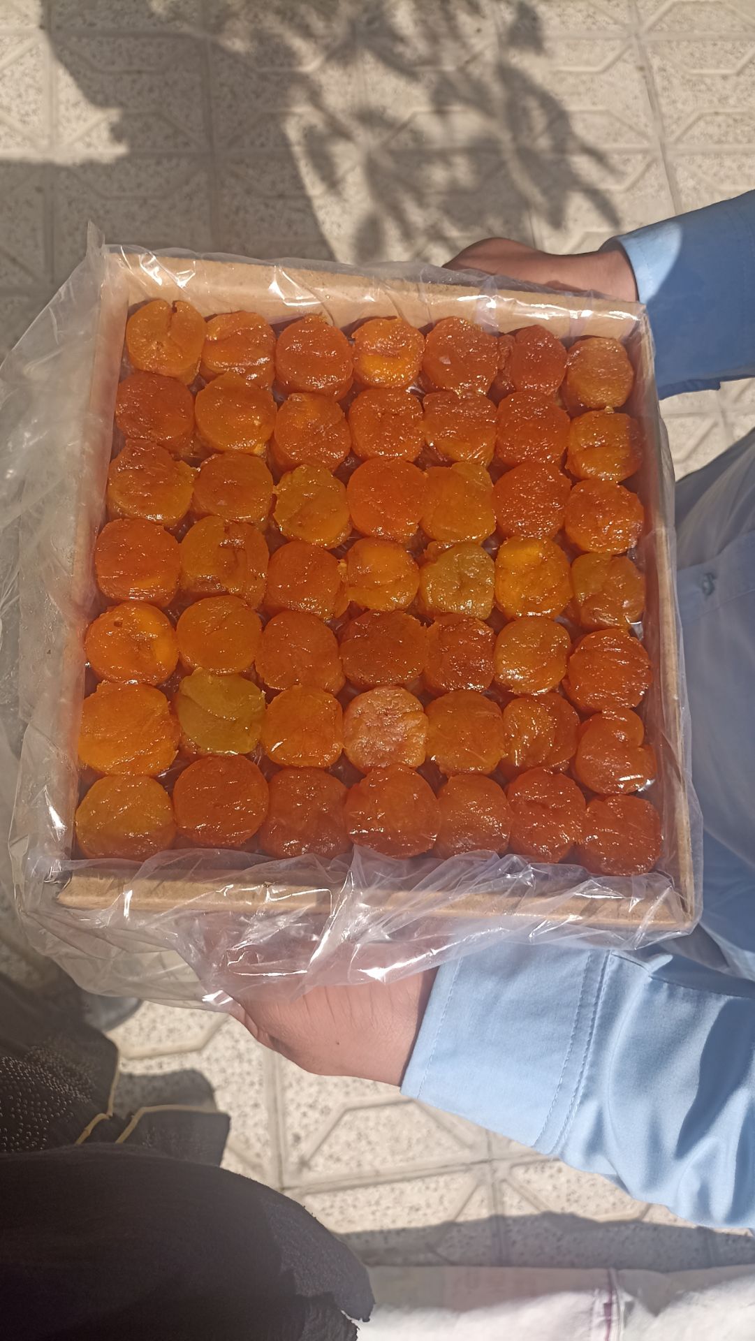 تصویر 3 از قیسی زرد آلو + قیمت مناسب