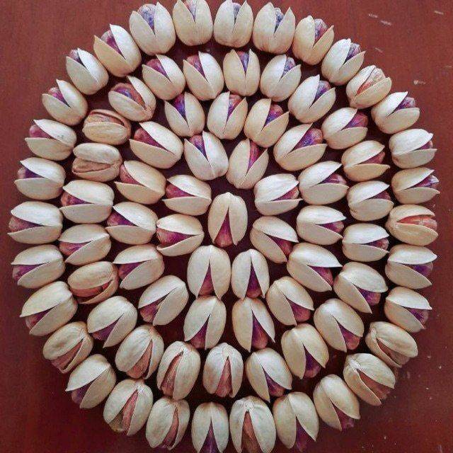 تصویر 5 از فروش پسته کله قوچی تازه + قیمت خرید به صرفه