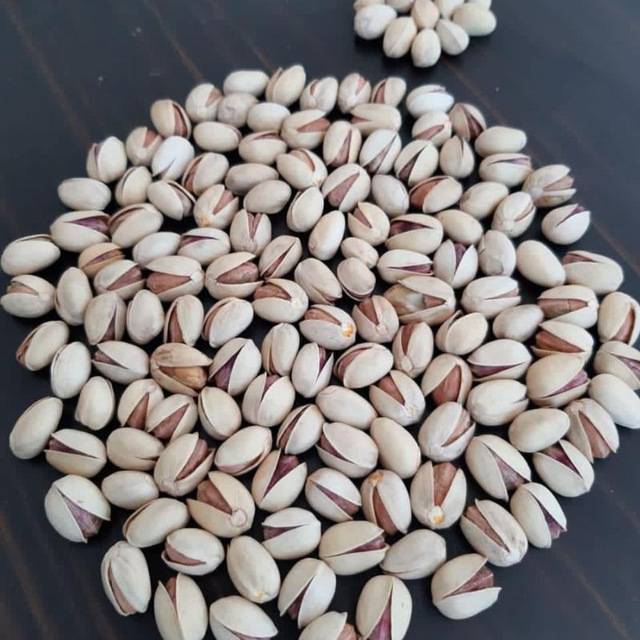 تصویر 3 از فروش پسته کله قوچی تازه + قیمت خرید به صرفه