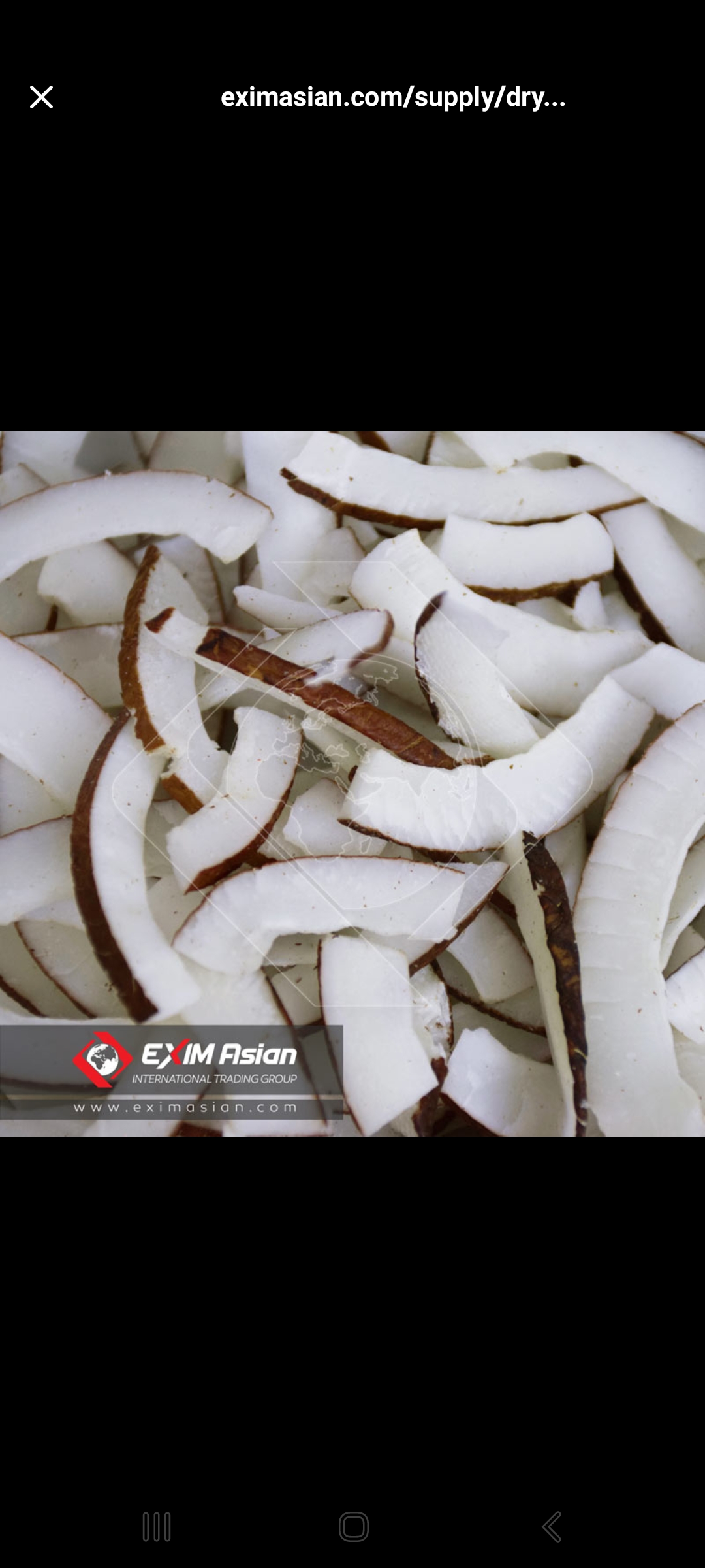 تصویر 1 از خرید و قیمت نارگیل خشک  + فروش ویژه