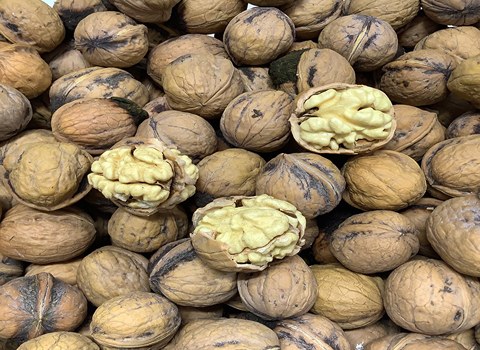 تصویر 1 از قیمت فروش مغز گردو ارومیه + عمده