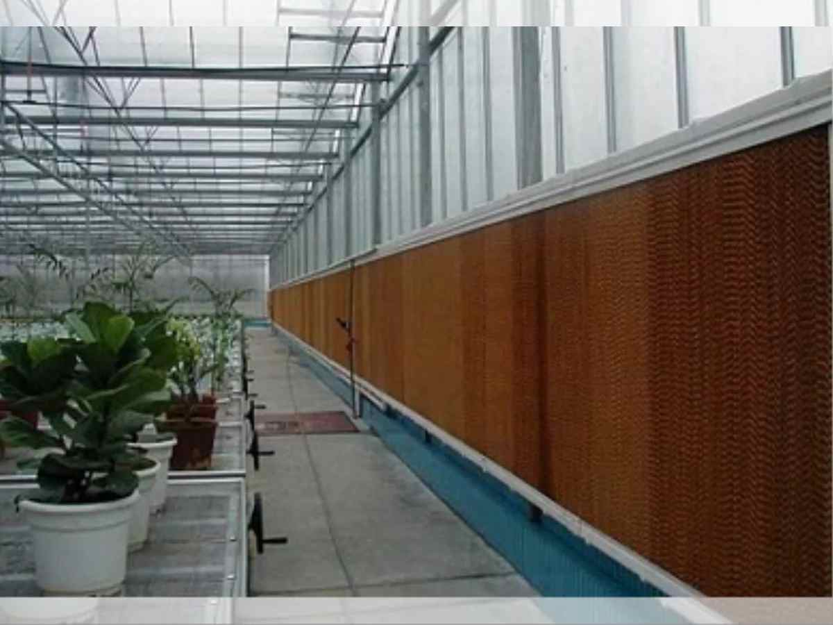 تصویر 3 از قیمت پد سلولزی 7090 ابعاد 60 × 150 ضخامت 15 + پخش تولیدی عمده کارخانه