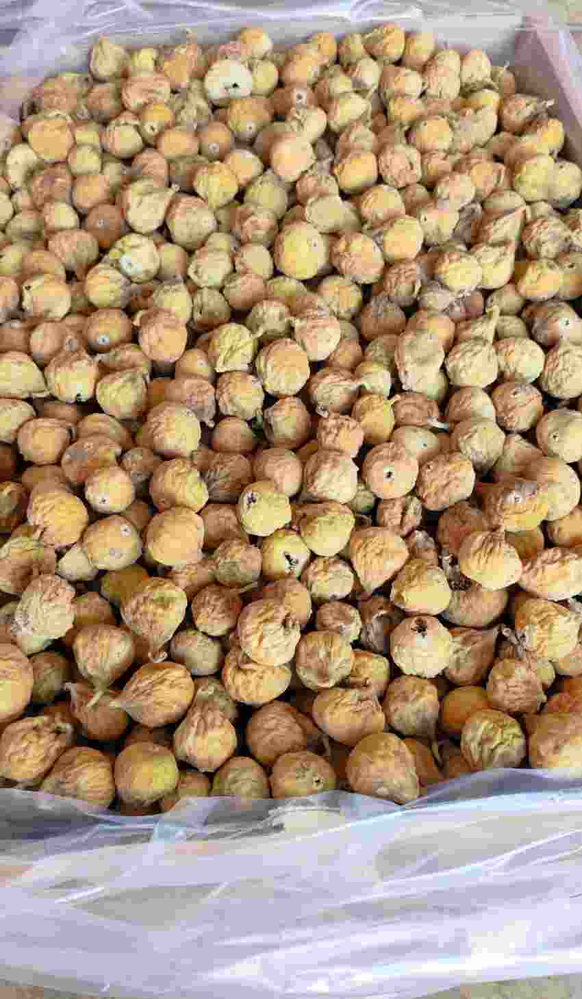 تصویر 2 از خرید عمده انجیر استهبان + قیمت مناسب و رقابتی