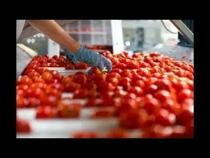 تصویر 4 از قیمت رب گوجه پاکتی