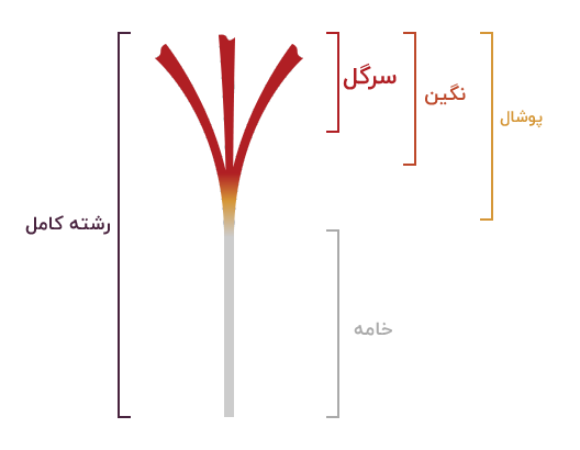 تصویر 1 از زعفران نگین خراسان + قیمت خرید