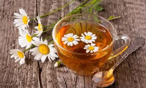 فروش بابونه خشک صادراتی + گیاه دارویی ضد التهاب و آرام‌ بخش
