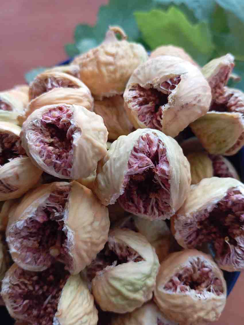 تصویر 1 از فروش انجیر فوق العاده لوکس استهبان