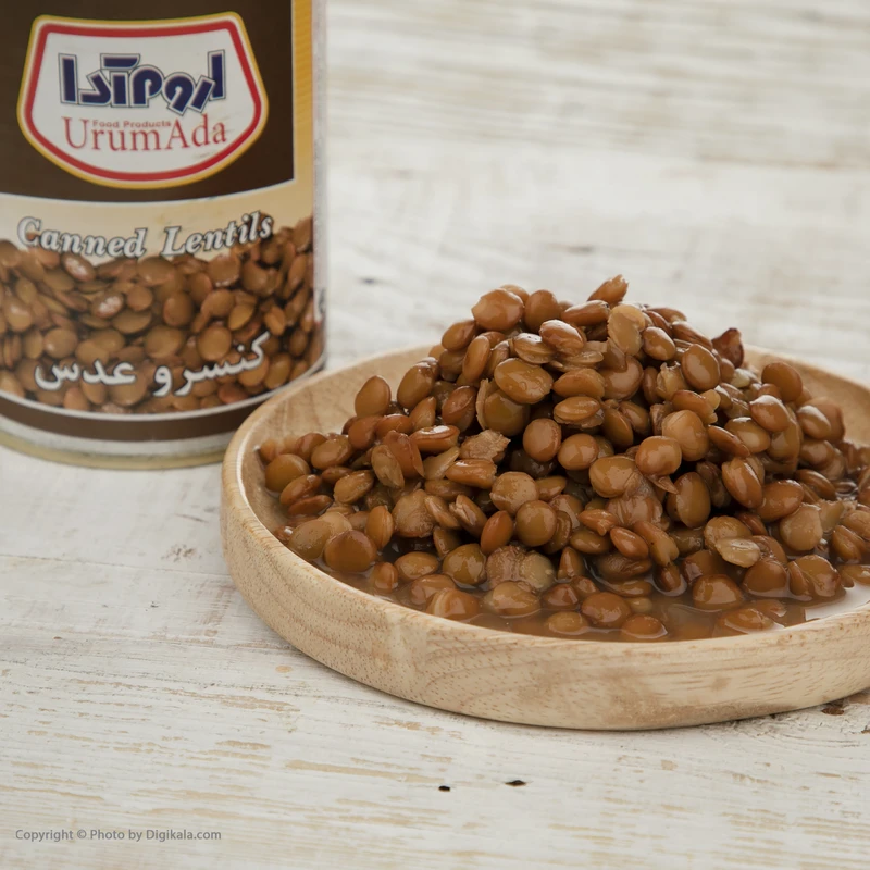 تصویر 3 از شرایط خرید ویژه کنسرو عدسی ۴۲۰ گرمی + قیمت عمده