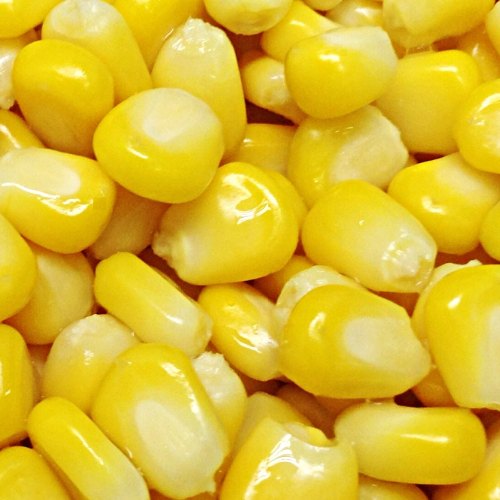 تصویر 1 از قیمت ویژه کنسرو ذرت شیرین ۴۲۰ گرمی + فروش فوق‌العاده