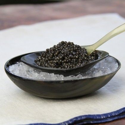خاویار سیاه جنوب + قیمت به صرفه