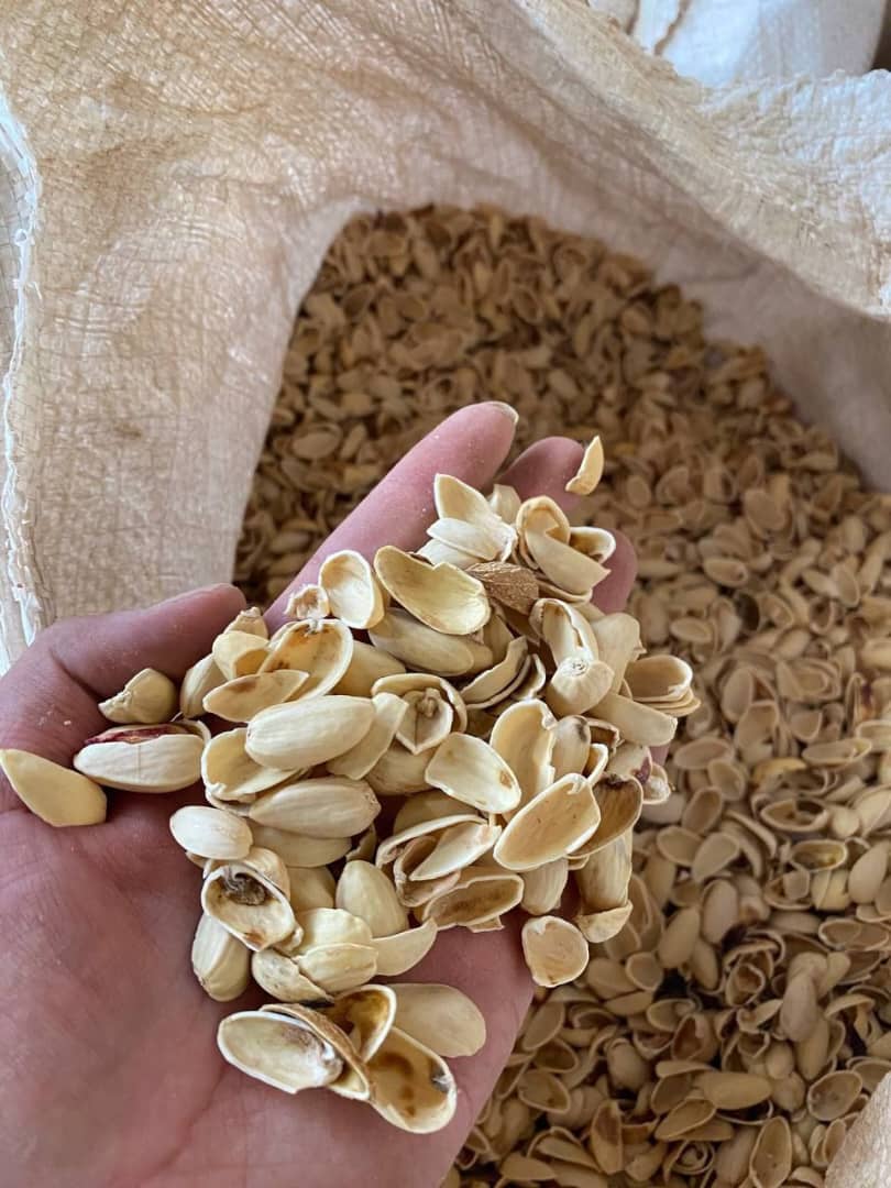 پودر پسته جهت خوراک دام + شرایط ویژه