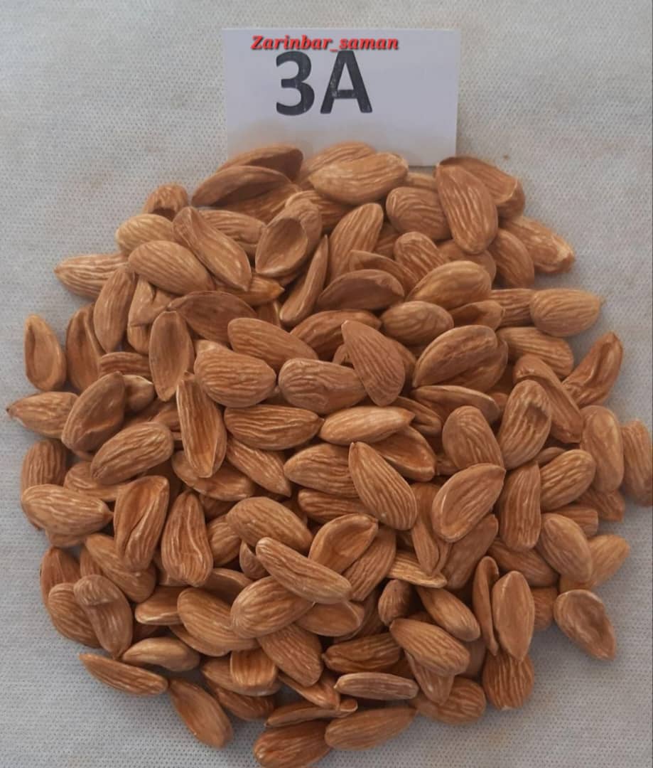 تصویر 1 از مغز بادام سنگی سوپر با قیمت به صرفه