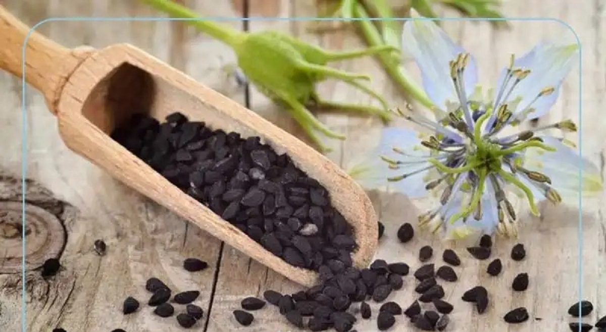 تصویر 3 از خرید عمده سیاه‌ دانه با قیمت رقابتی و کیفیت صادراتی