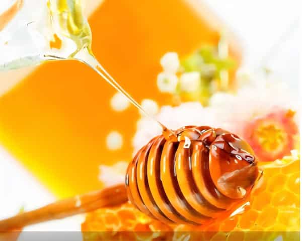تصویر 1 از قیمت خرید عمده عسل کندو + سود بالا
