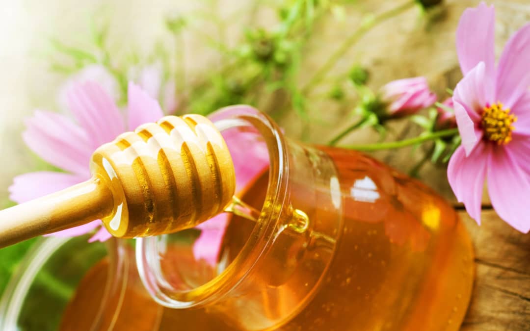 تصویر 4 از خرید عسل گیاهی با قیمت باور نکردنی