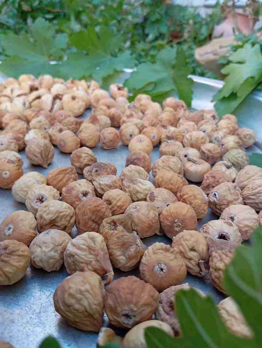 خرید و قیمت  انجیر خشک مخلوط + فروش صادراتی