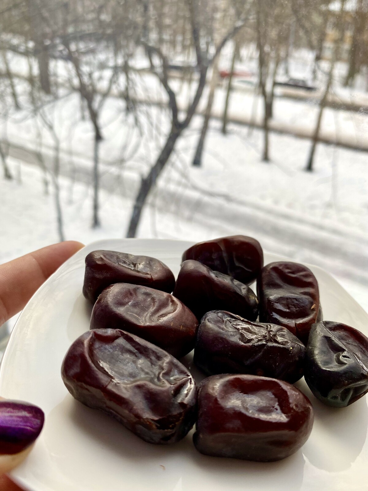 تصویر 2 از رطب مضافتی بم کرمان + فروش ویژه
