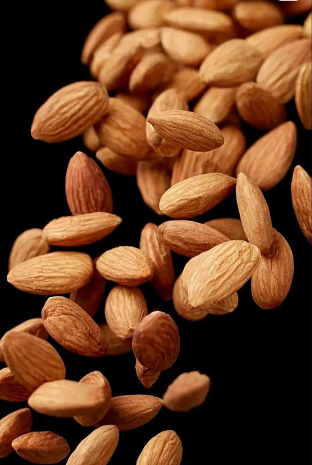 تصویر 1 از بادام سنگی با پوست سبز + عمده