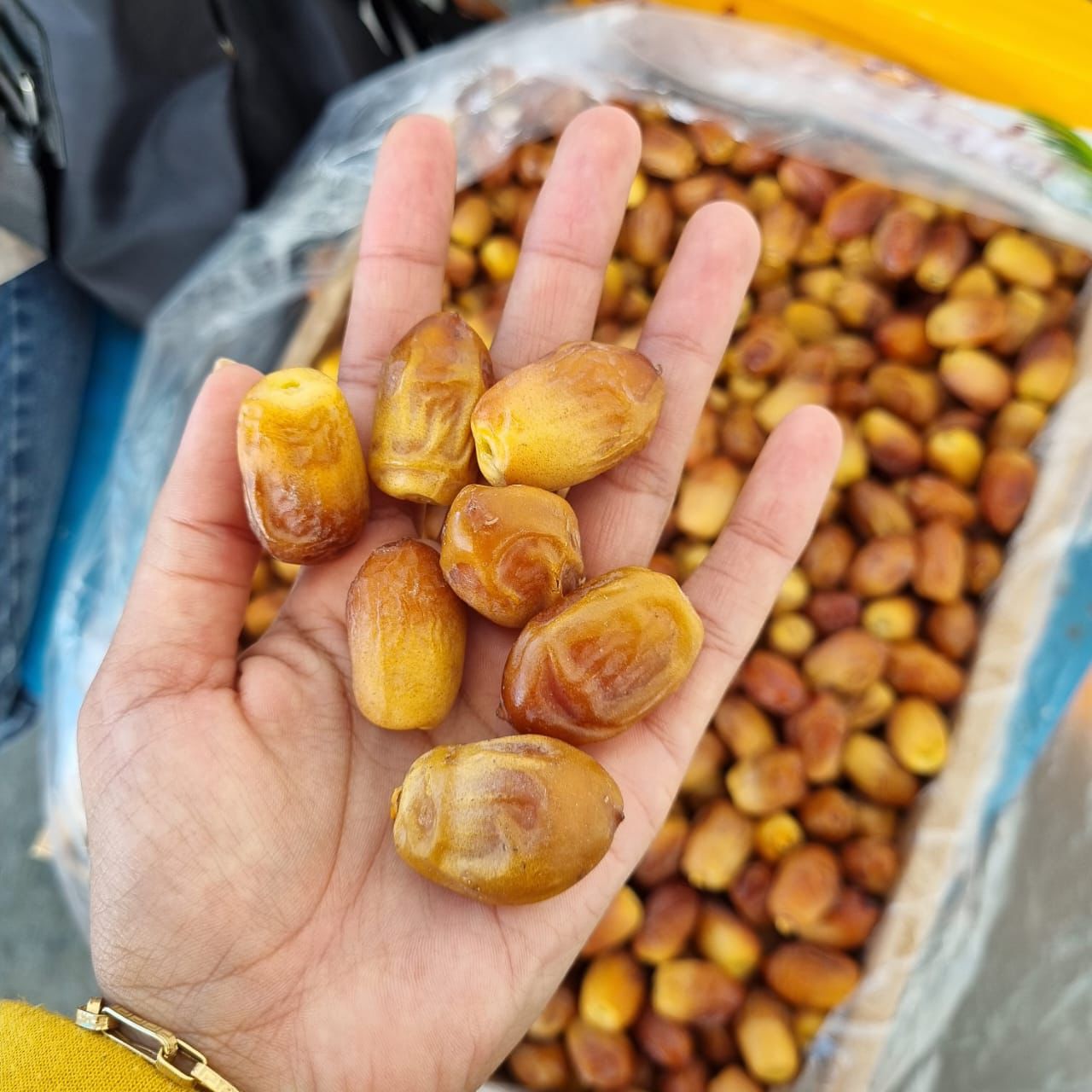 تصویر 2 از خرید و قیمت خرما زاهدی خوزستان + قیمت منصفانه