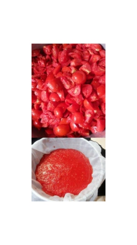 تصویر 1 از قیمت رب گوجه 500 گرمی مشکوت + پخش تولیدی عمده کارخانه