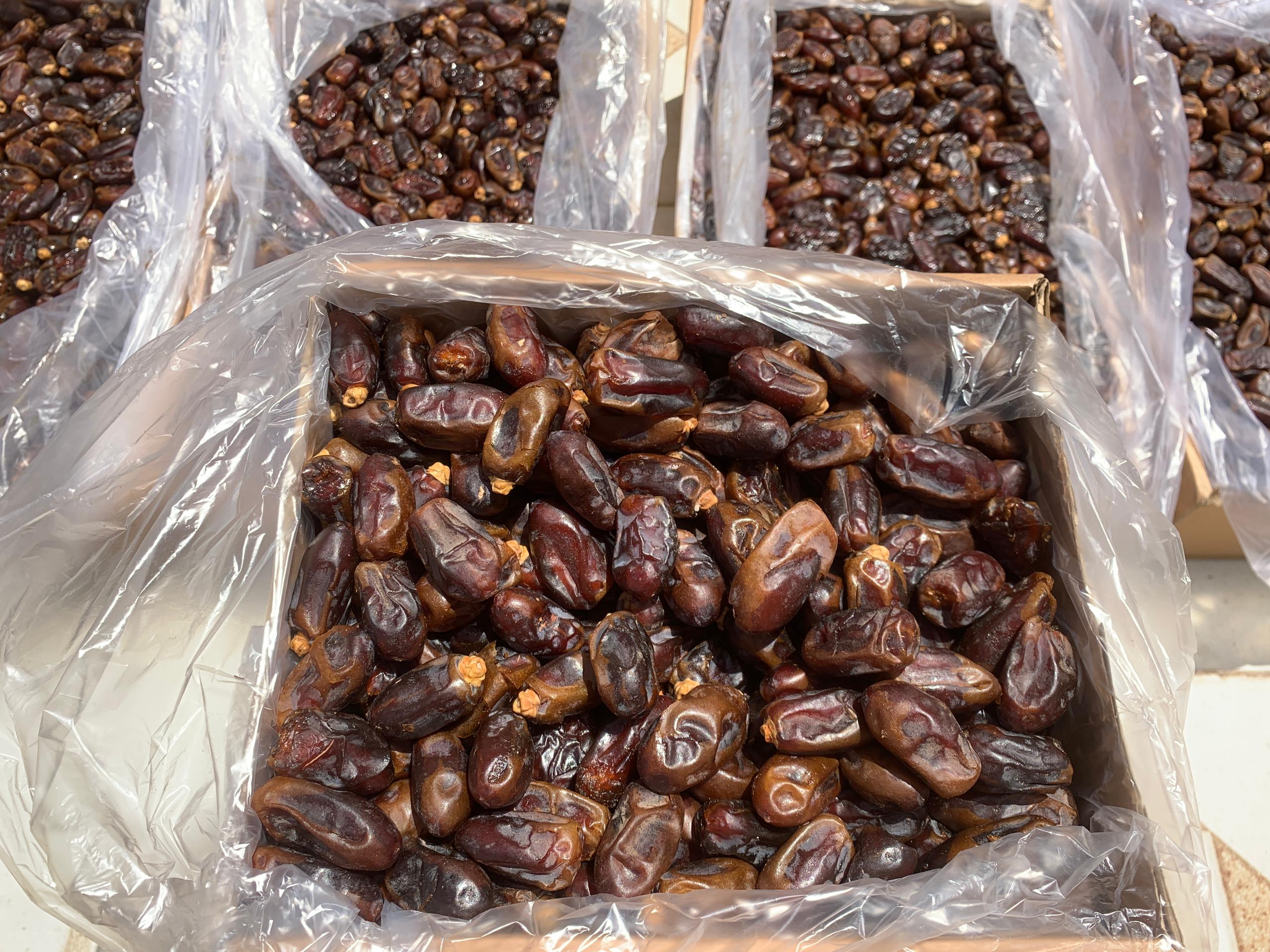 تصویر 1 از قیمت استثنایی خرما استعمران + سایر خرما