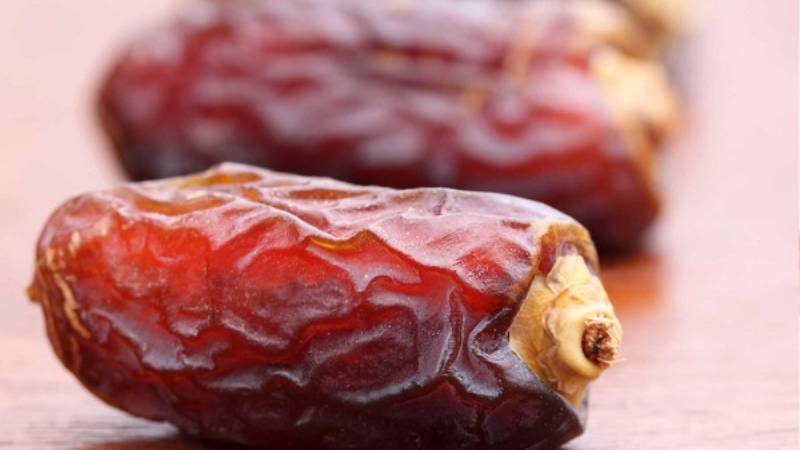 تصویر 1 از قیمت عمده خرما بریمی بوشهر + خرید باور نکردنی