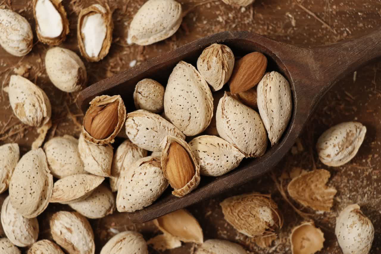 خرید بادام کاغذی با قیمت مناسب