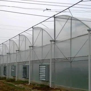تصویر 3 از خرید نایلون مخصوص گلخانه با بهترین قیمت بازار