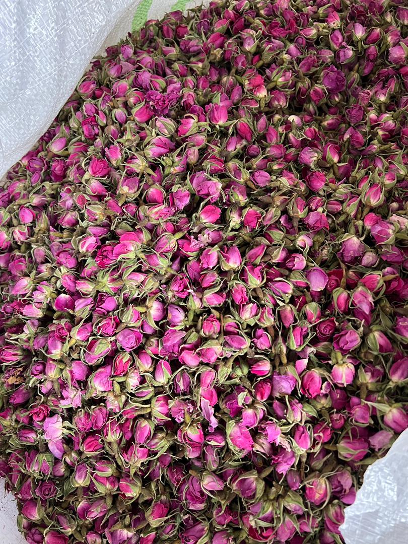 قیمت غنچه گل محمدی خشک داراب شیراز کیفیت عالی